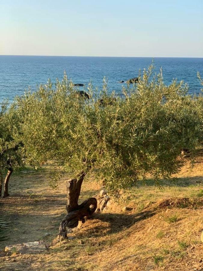 Ogliastro Sul Mare - Sleep And Dream Villa Cefalu Ngoại thất bức ảnh